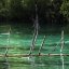 Zurich : des crustacés pour surveiller la qualité de l'eau