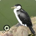 photo : Parc des Oiseaux