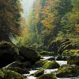  <p>Le Doubs,<br class='manualbr' />près du Chatelot <br class='manualbr' />(Photo Suisse Tourisme)</p>