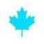 Exportations d'eau en vrac : inquiétudes canadiennes