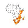 L'Afrique de l'Est et australe face à la pire sécheresse depuis trois décennies