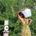 photo : Près d’Hyderabad, Inde