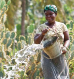 <p>Les femmes ont un rôle plus important encore à jouer dans la gestion des ressources en eau<br class='manualbr' />(photo extraite du rapport IWMI)</p>