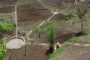  <p>Point d'eau alimenté par drainage en Éthiopie<br class='manualbr' />(Photo ORDA)</p>