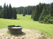  <p>Point d'eau dans les Franches-Montagnes<br class='manualbr' />© aqueduc.info</p>