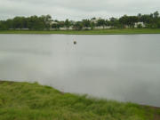  <p>Retenue d'eau de Djougou : vieux de plus de 50 ans, l'ouvrage est rattrapé par l'urbanisation. Les Djougois ne font plus confiance à la qualité de ses eaux<br class='manualbr' />(Photo B.Capo-Chichi)</p>