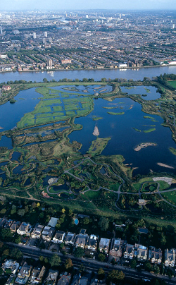  <p><small>The London Wetland Centre<br class='manualbr' /><i>(photo WWT/Ramsar)</i><br class='manualbr' />Voir l'article <i>aqueduc.info</i> :<br class='manualbr' /><a href='https://aqueduc.info/Les-zones-humides-urbaines-sont-vitales' class="spip_in">Les zones humides urbaines<br class='manualbr' />sont vitales</a></small></p>