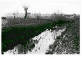 <p>Canalisation de la Seymaz<br class='manualbr' />au début du 20e siècle</p>