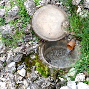  <p><small>La source Oberi Rippa, Breccaschlund (FR)<br class='manualbr' /><small><i>(photo Philip Messerli)</i></small></small></p>